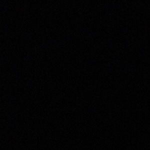 Meet your Posher, Landon